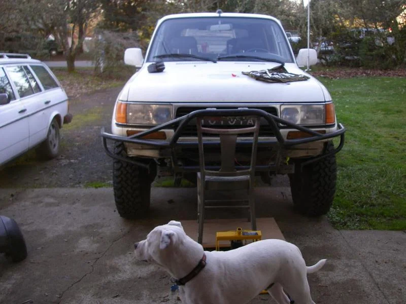 P1150033.webp