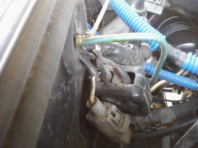 P12-16-11_10-44.webp