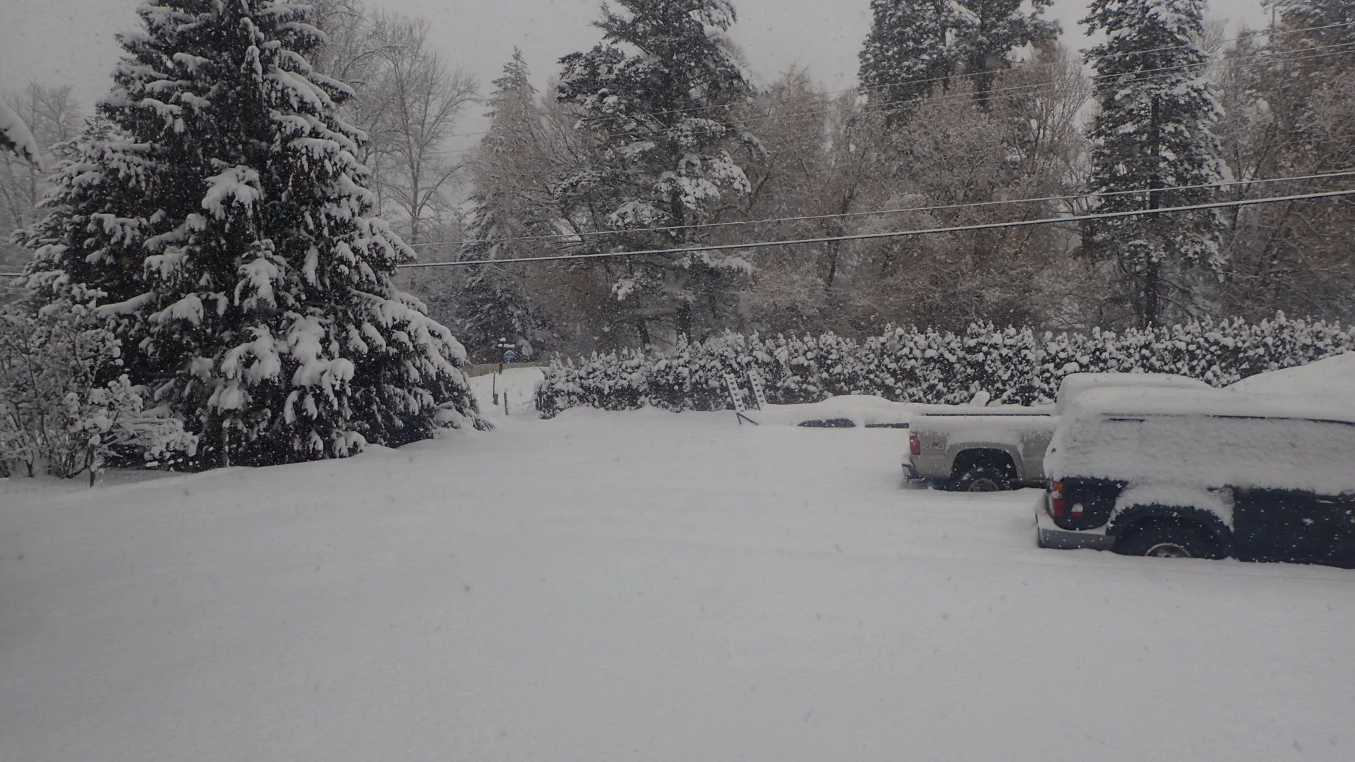 P1280076.webp
