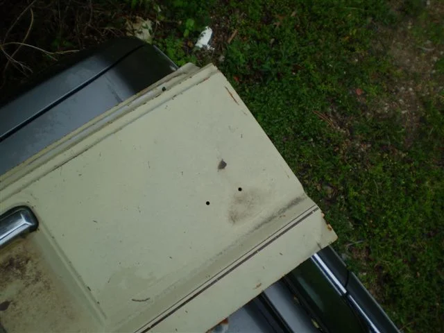 P3100095.webp
