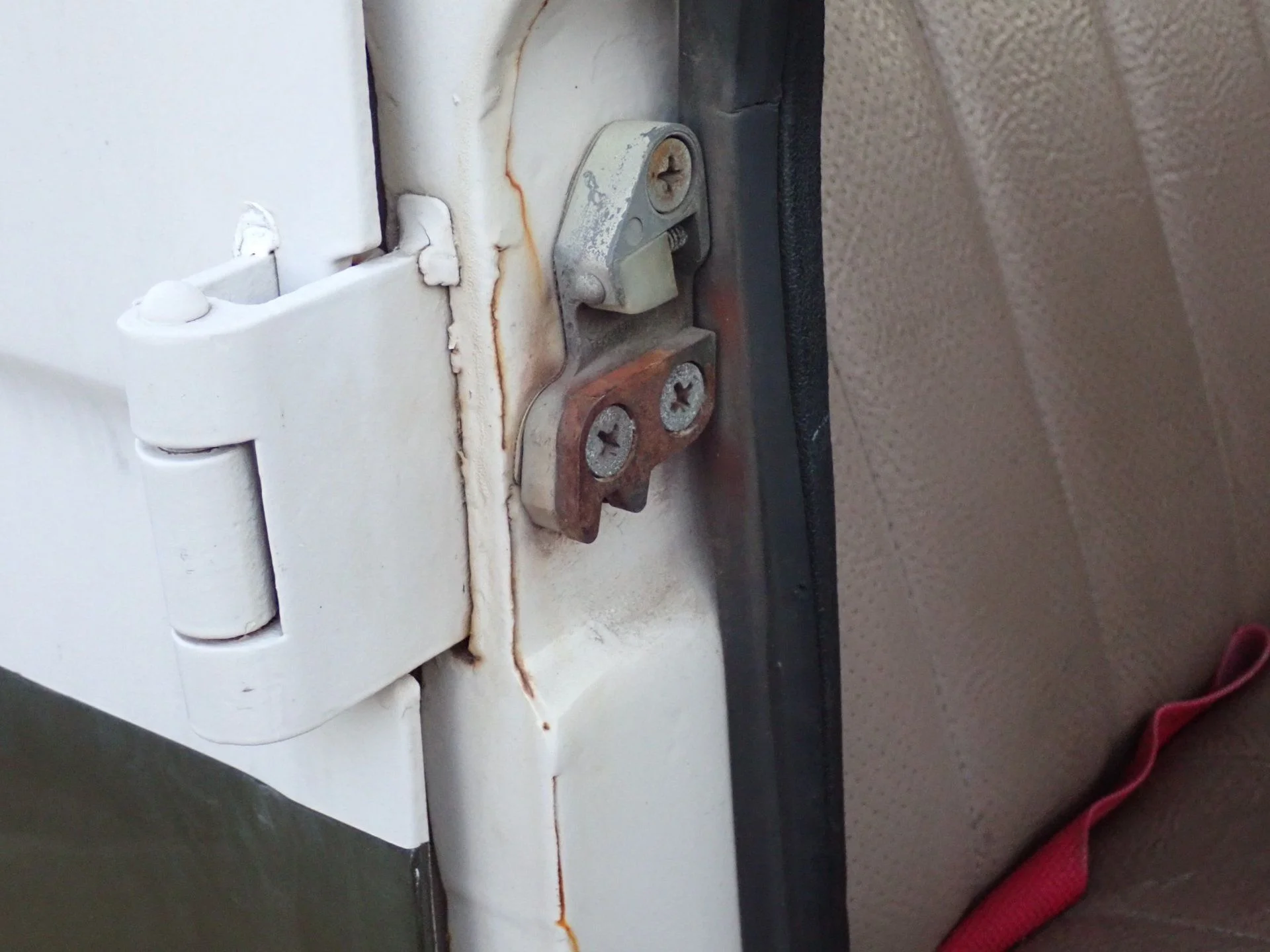 P3150001.webp