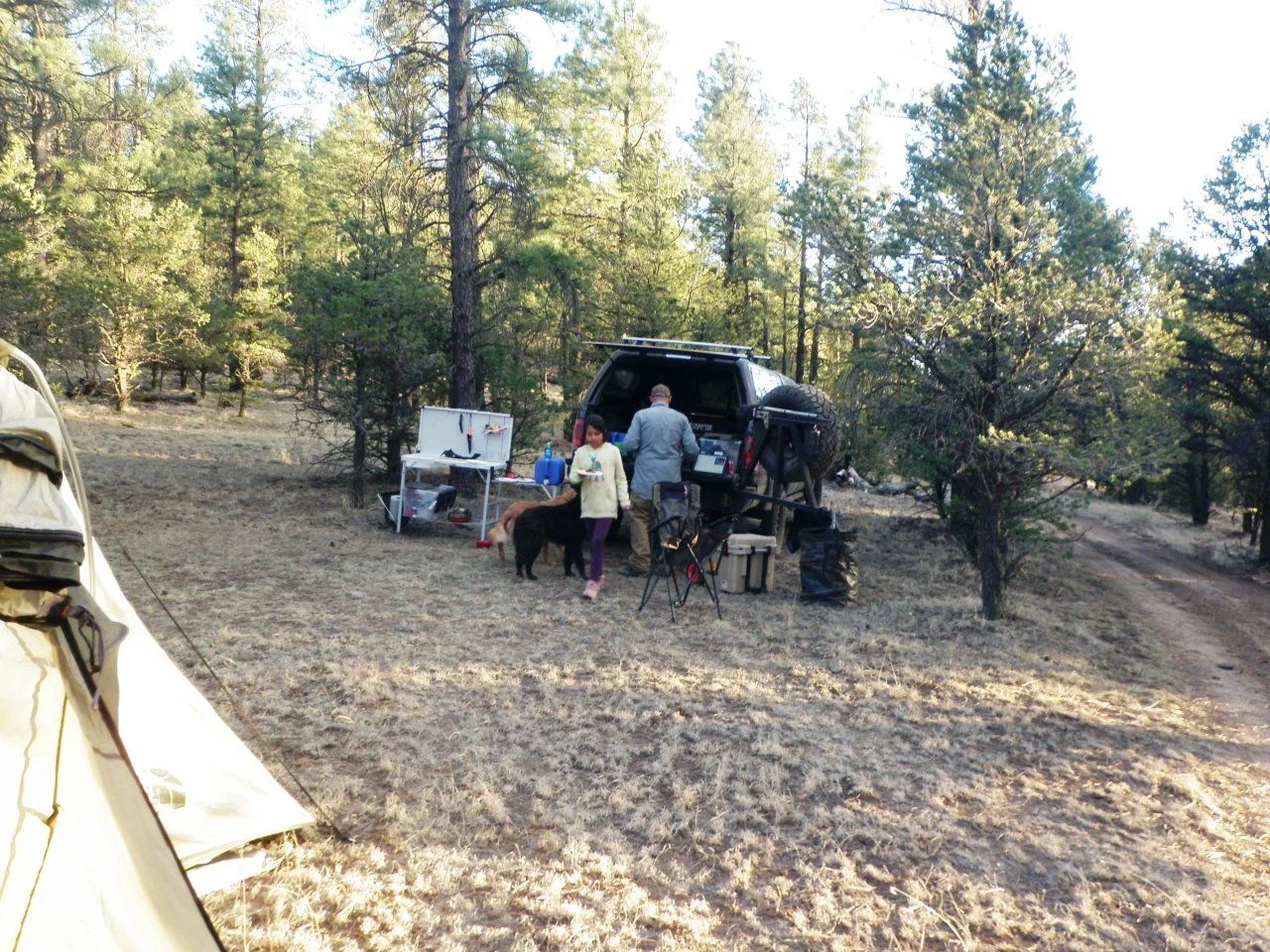 P3270429.webp