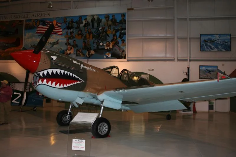 P40 Hawk m.webp
