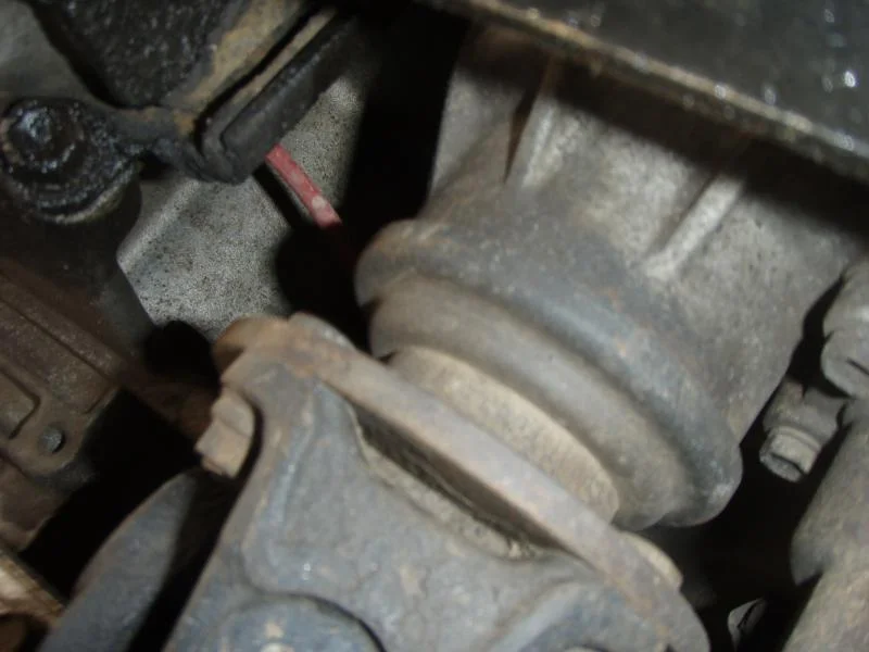P4010273.webp