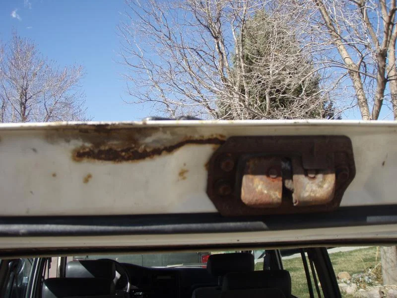 P4010275.webp