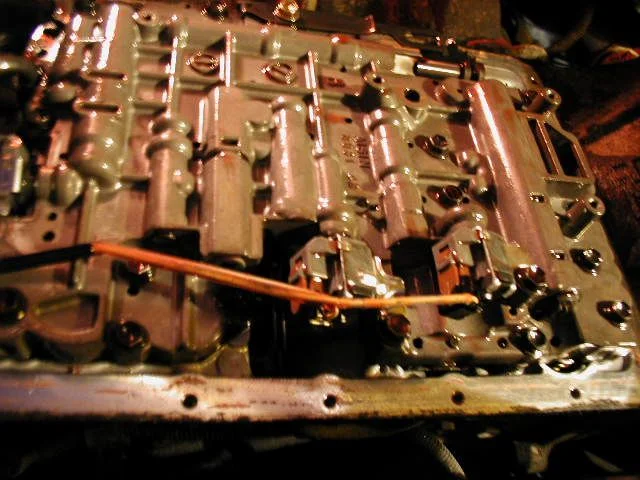 P4070007.JPG