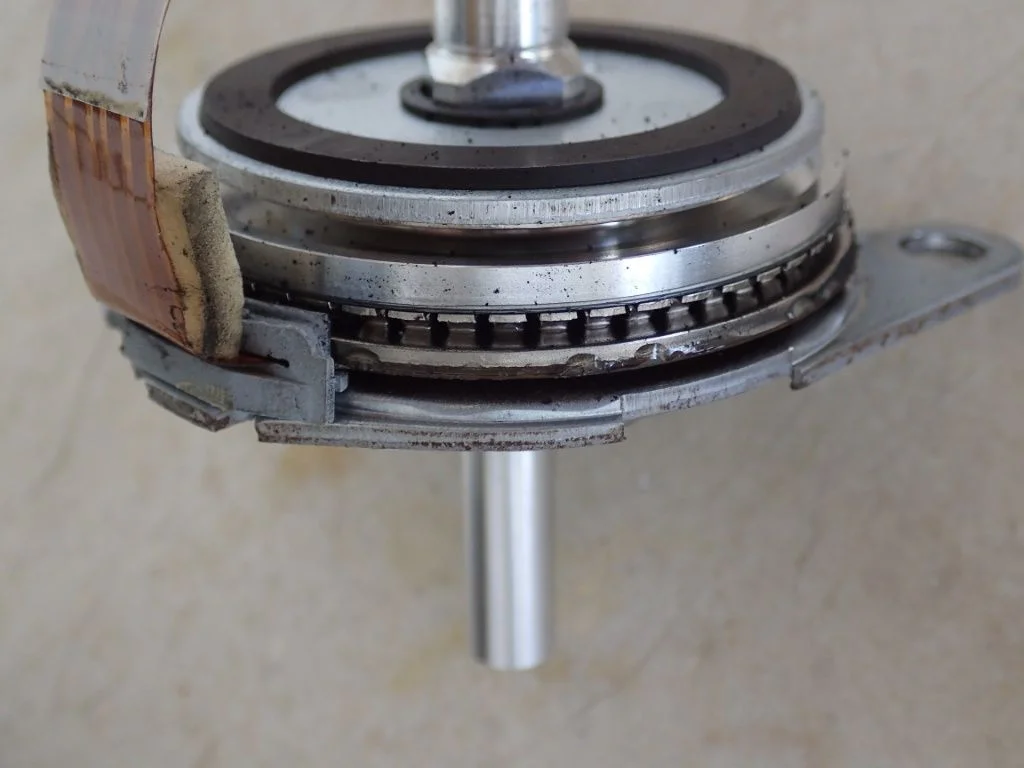 P4100050 (Custom).JPG