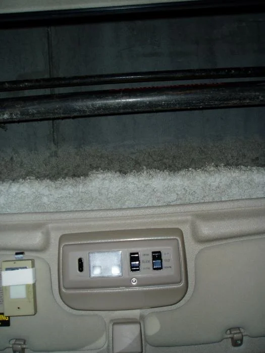 P4200117.webp