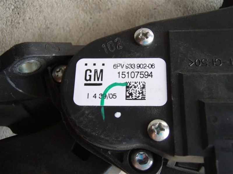 P4260005 (Medium).webp