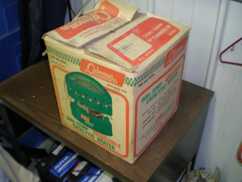 P4290180.webp