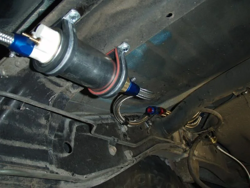 P5030207 (Medium).webp