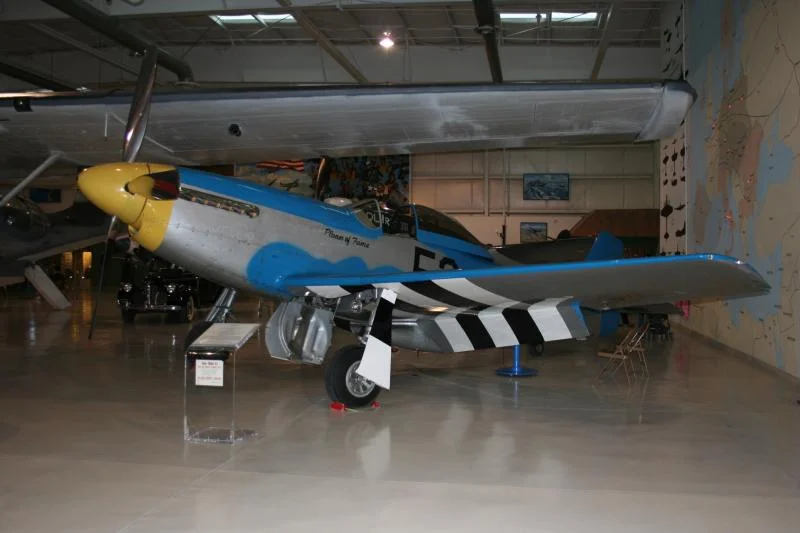 P51D Mustang m.webp