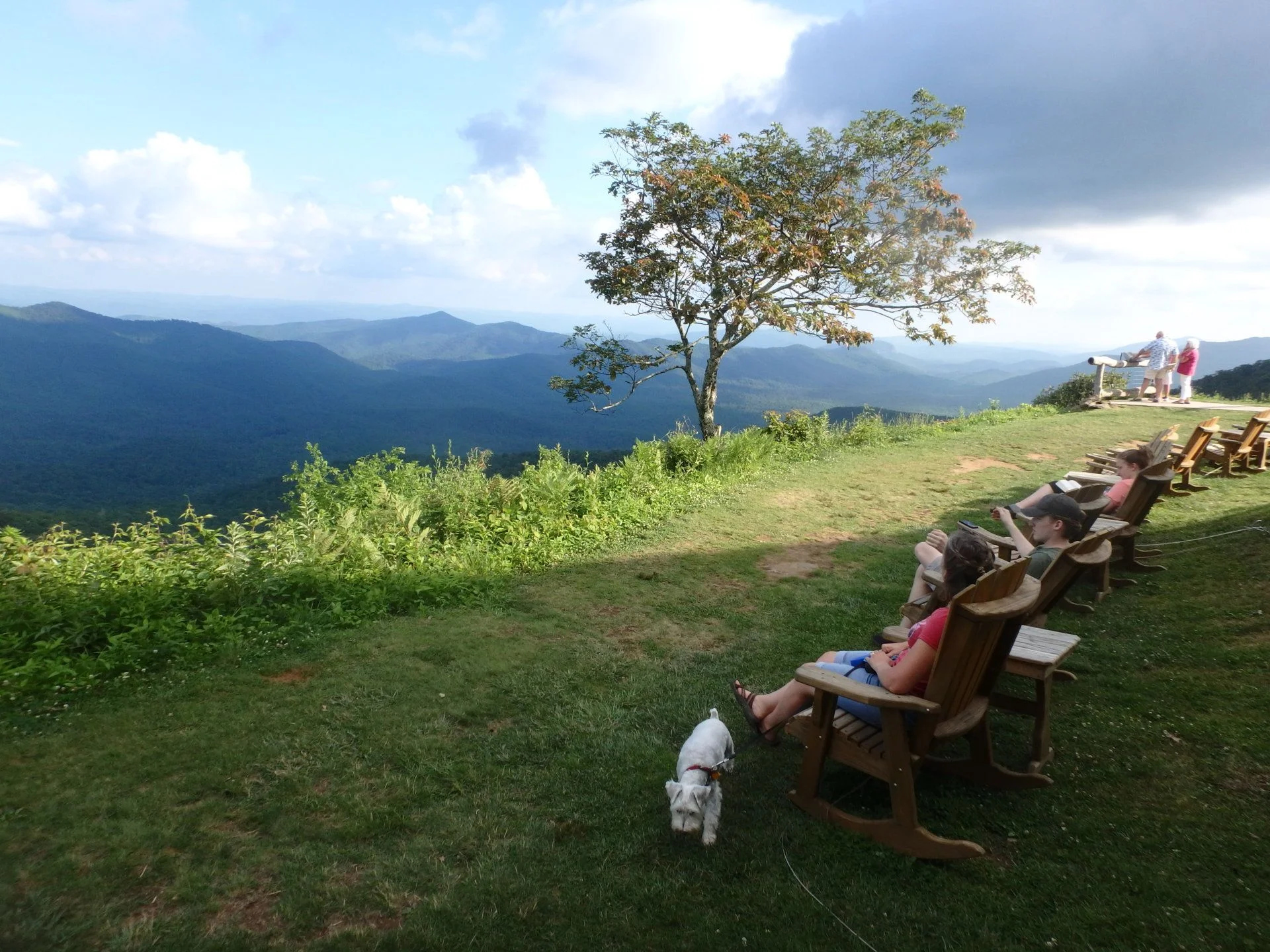 P7010223.webp