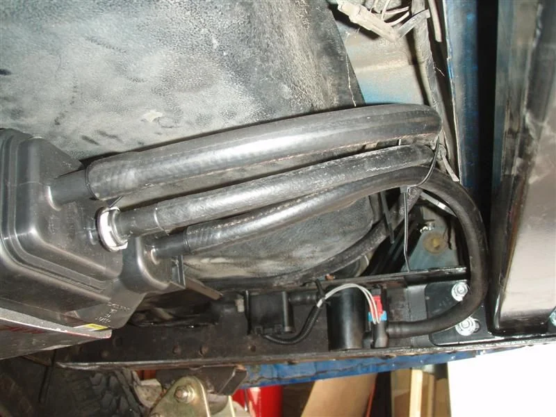 P7090245 (Medium).webp