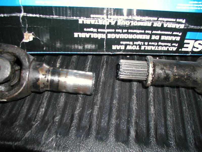 P7280039 (Medium).webp
