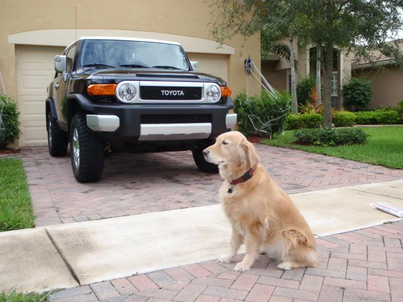 PA040267.webp