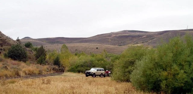 PA050054.webp