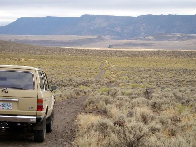 PA050124.webp