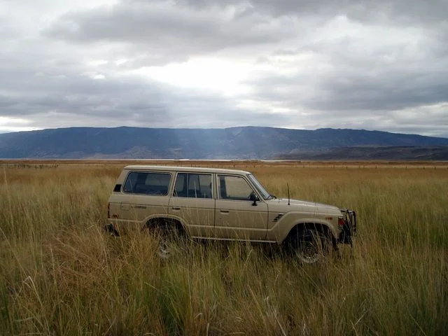 PA050145.webp