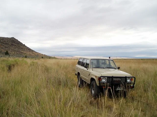 PA050148.webp