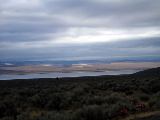 PA050152.webp