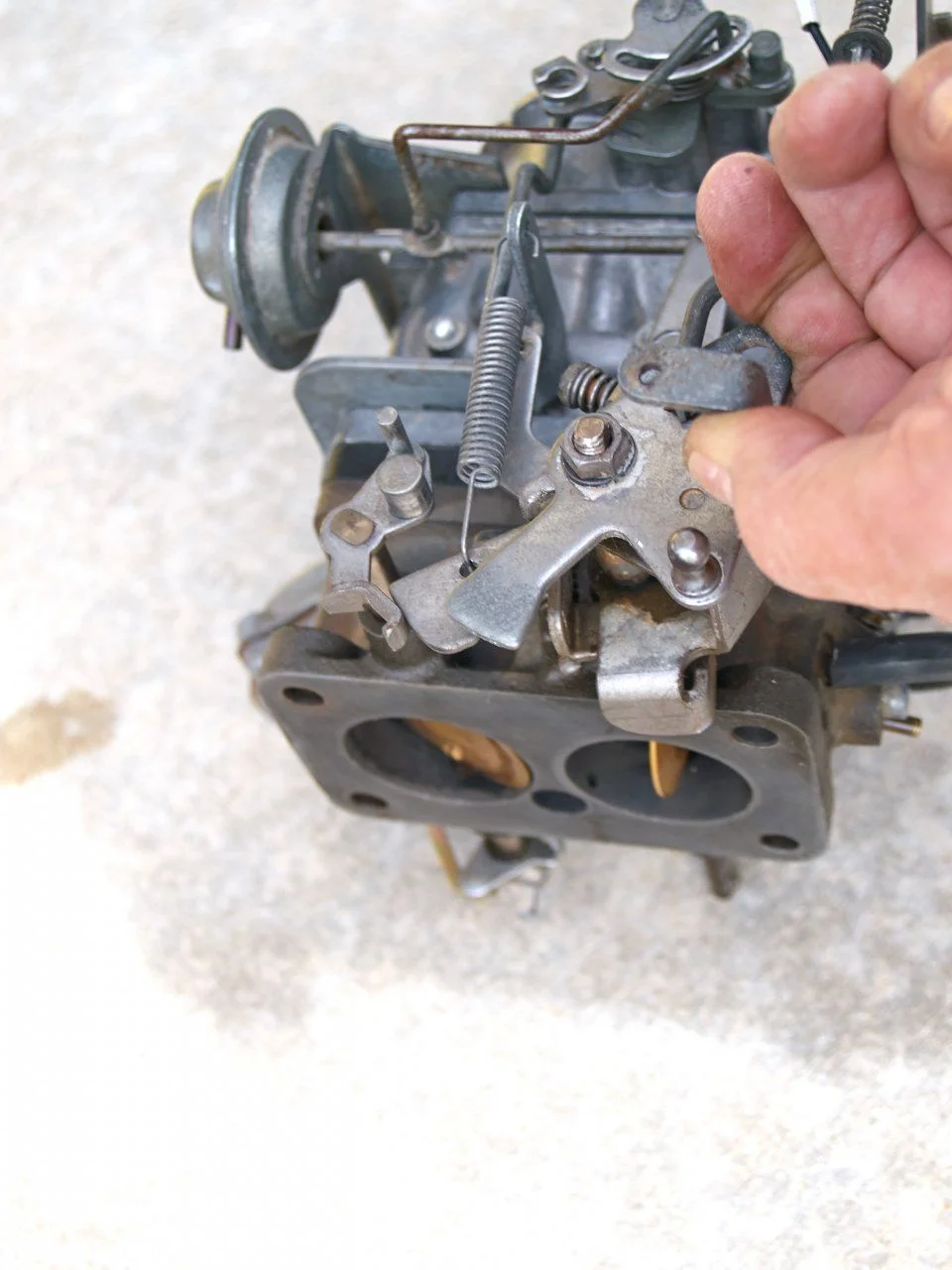 PA149730.webp