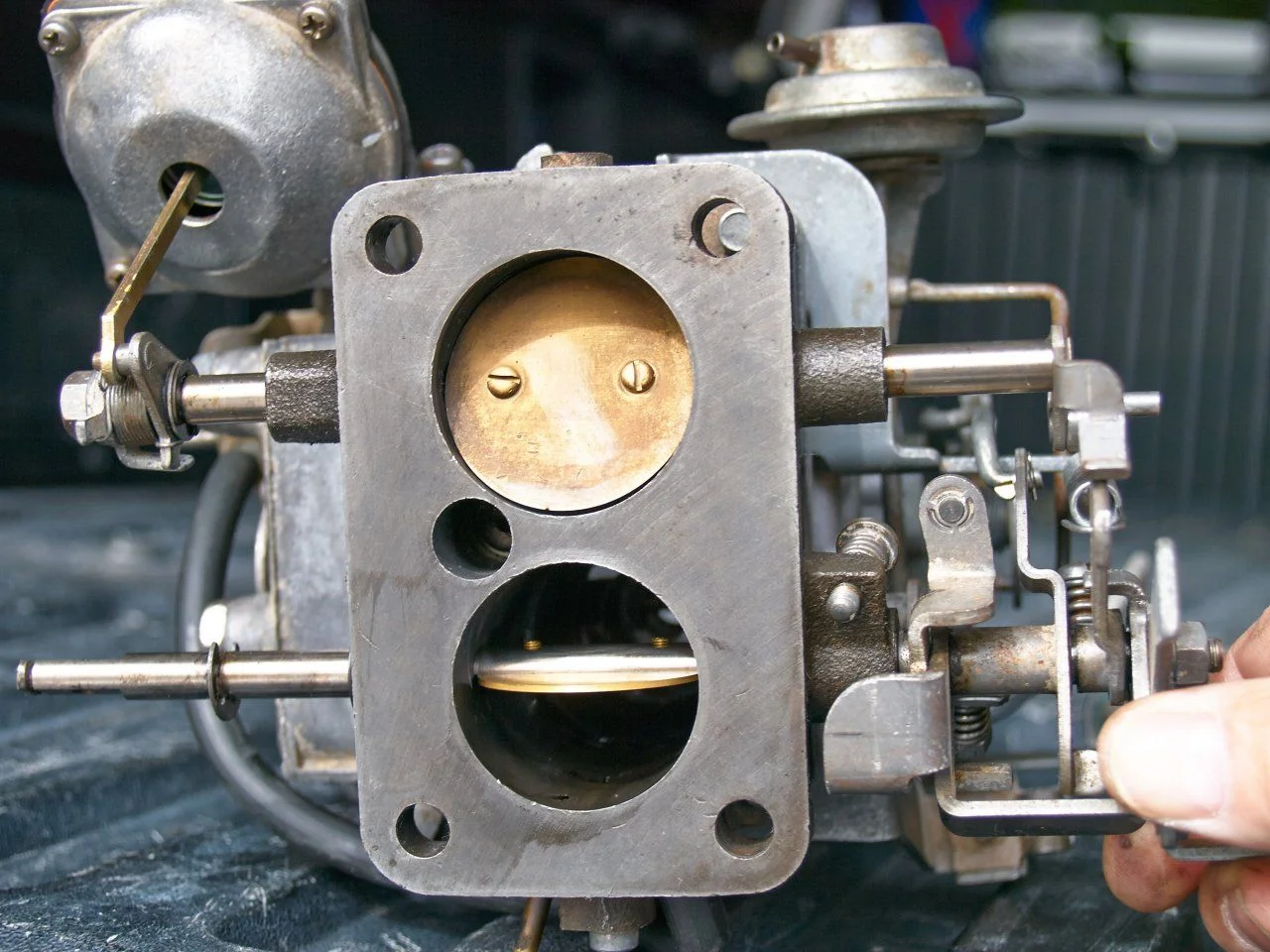 PA149733.webp