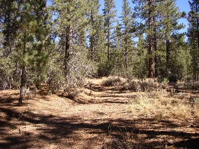 PA150003r.webp