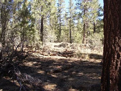 PA150010r.webp