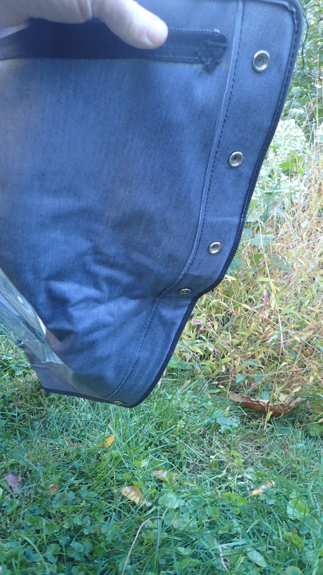 PA150363.webp