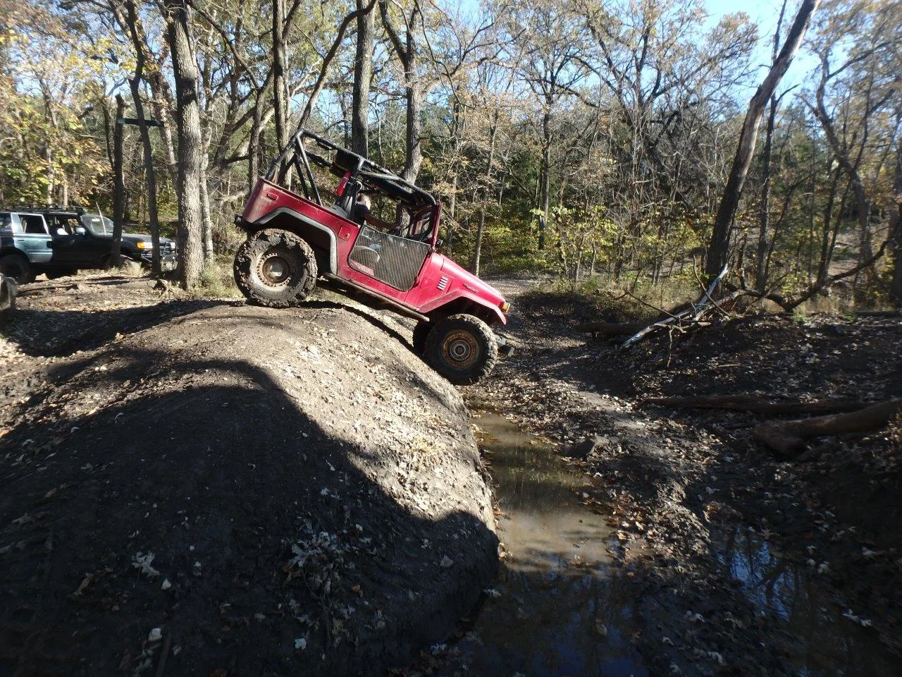 PA210084.webp