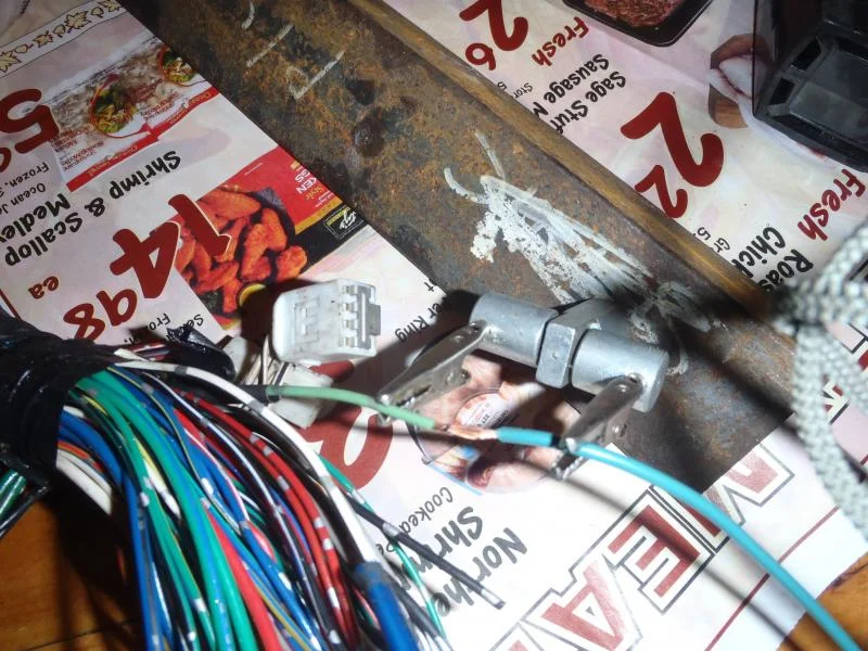 PA240009.webp