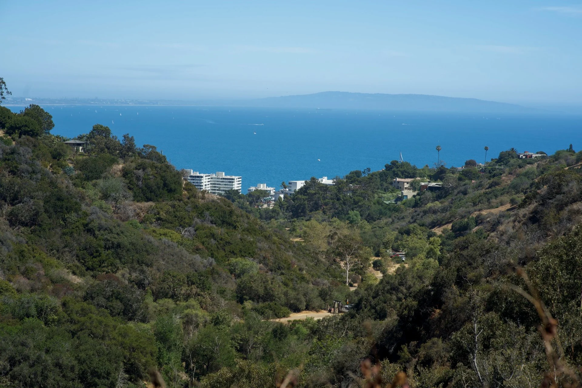 palisades.jpg