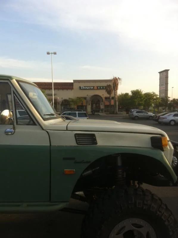 panera.webp