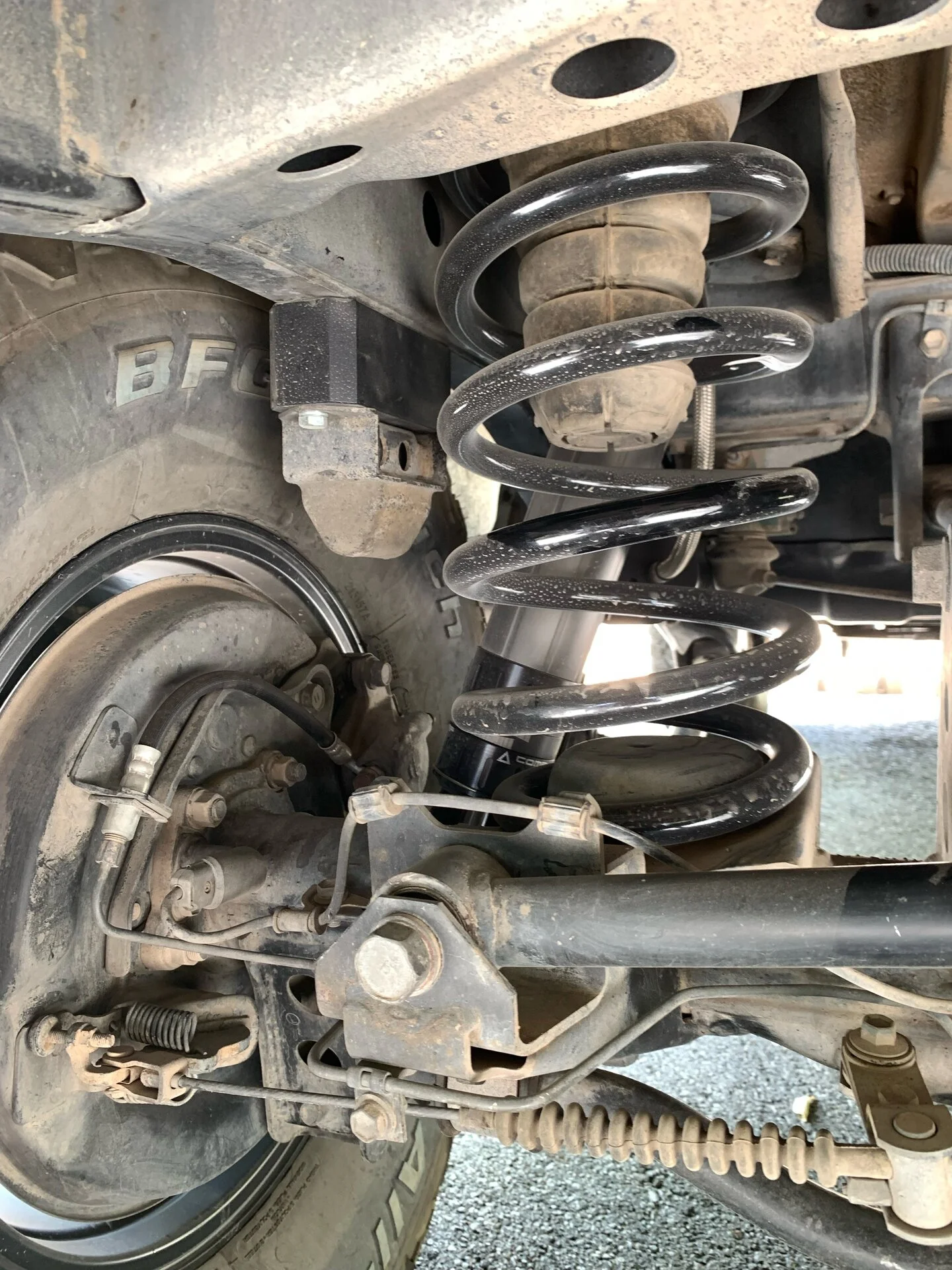 panhard 2.webp