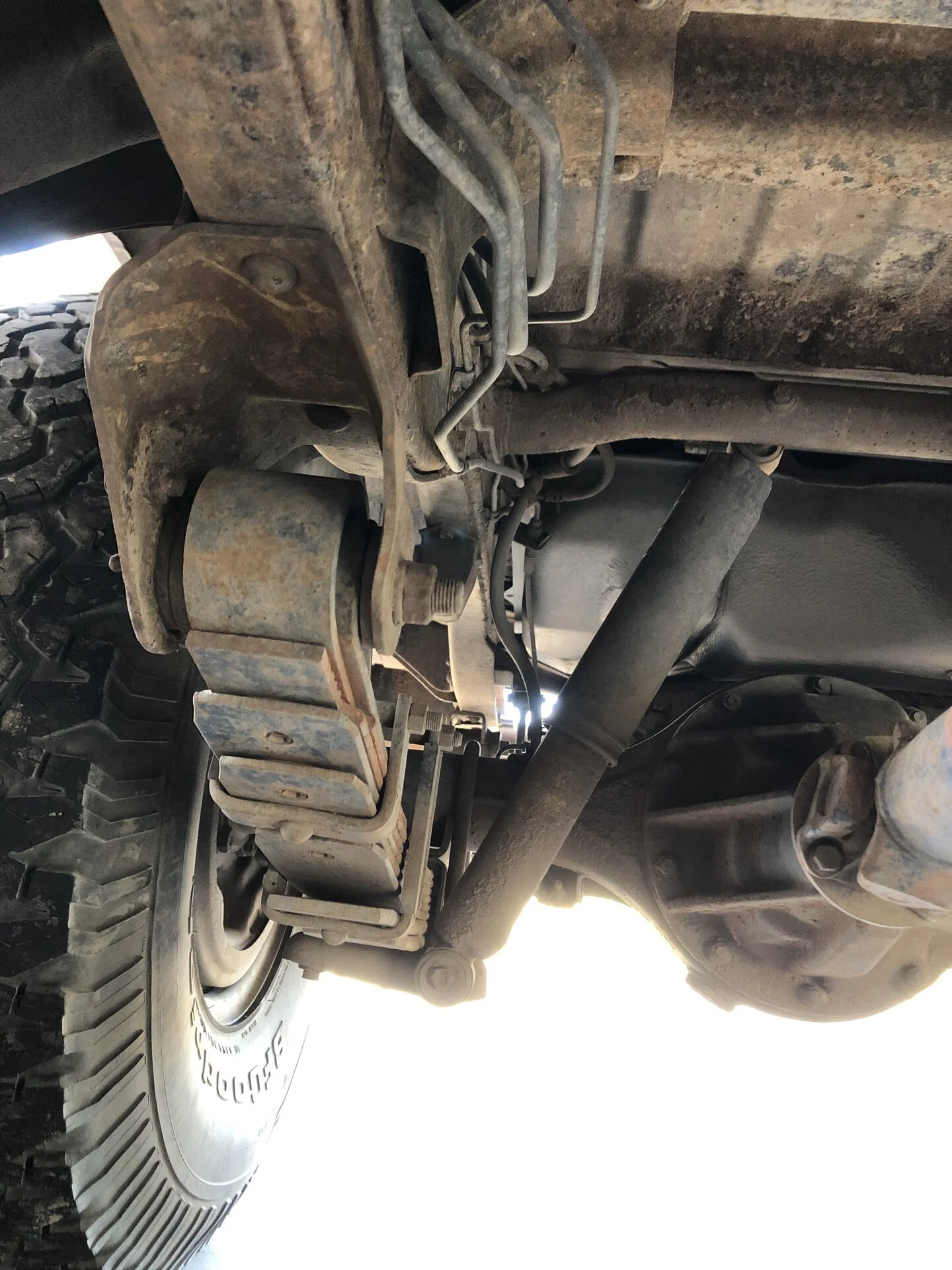 pass rear.webp