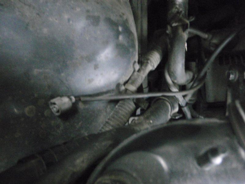 PB010008.jpg