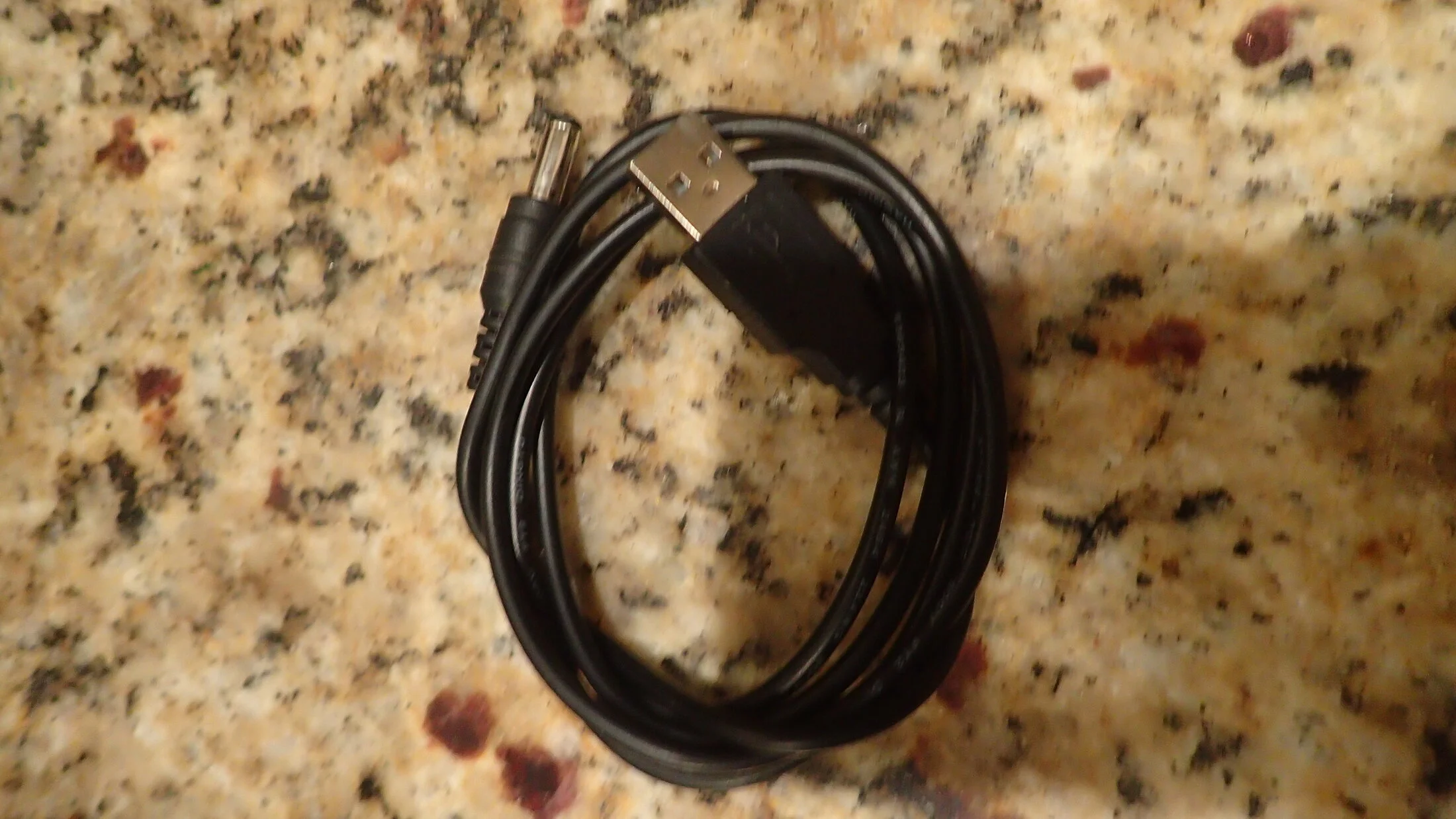 PB110375.JPG
