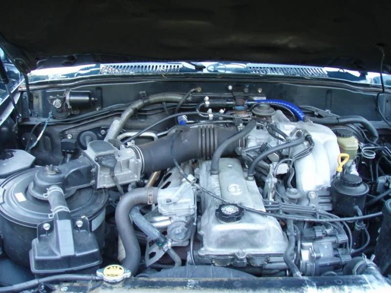 PC050040SMALL.webp