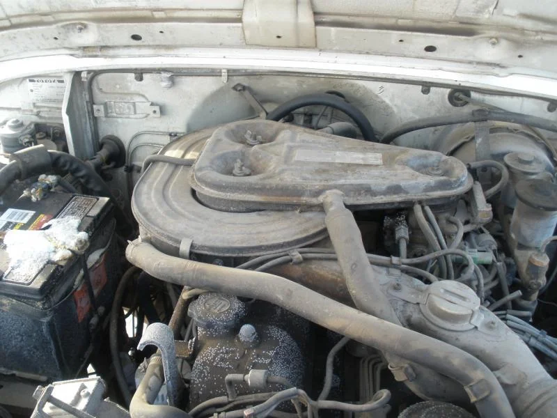 PC110005.webp