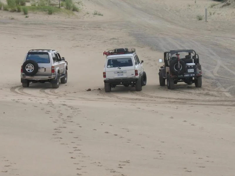 pennys hill sand dune3.webp