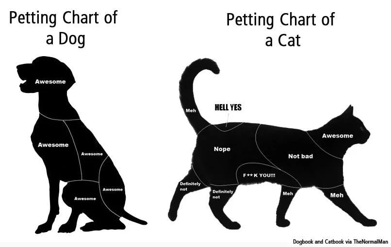 petting-chart.webp