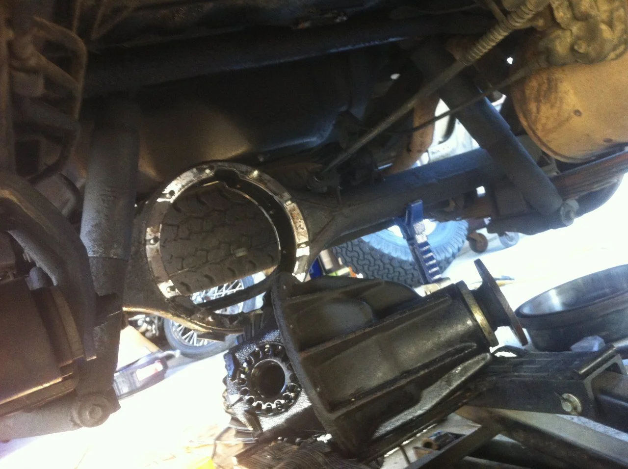photo 1 (1).webp