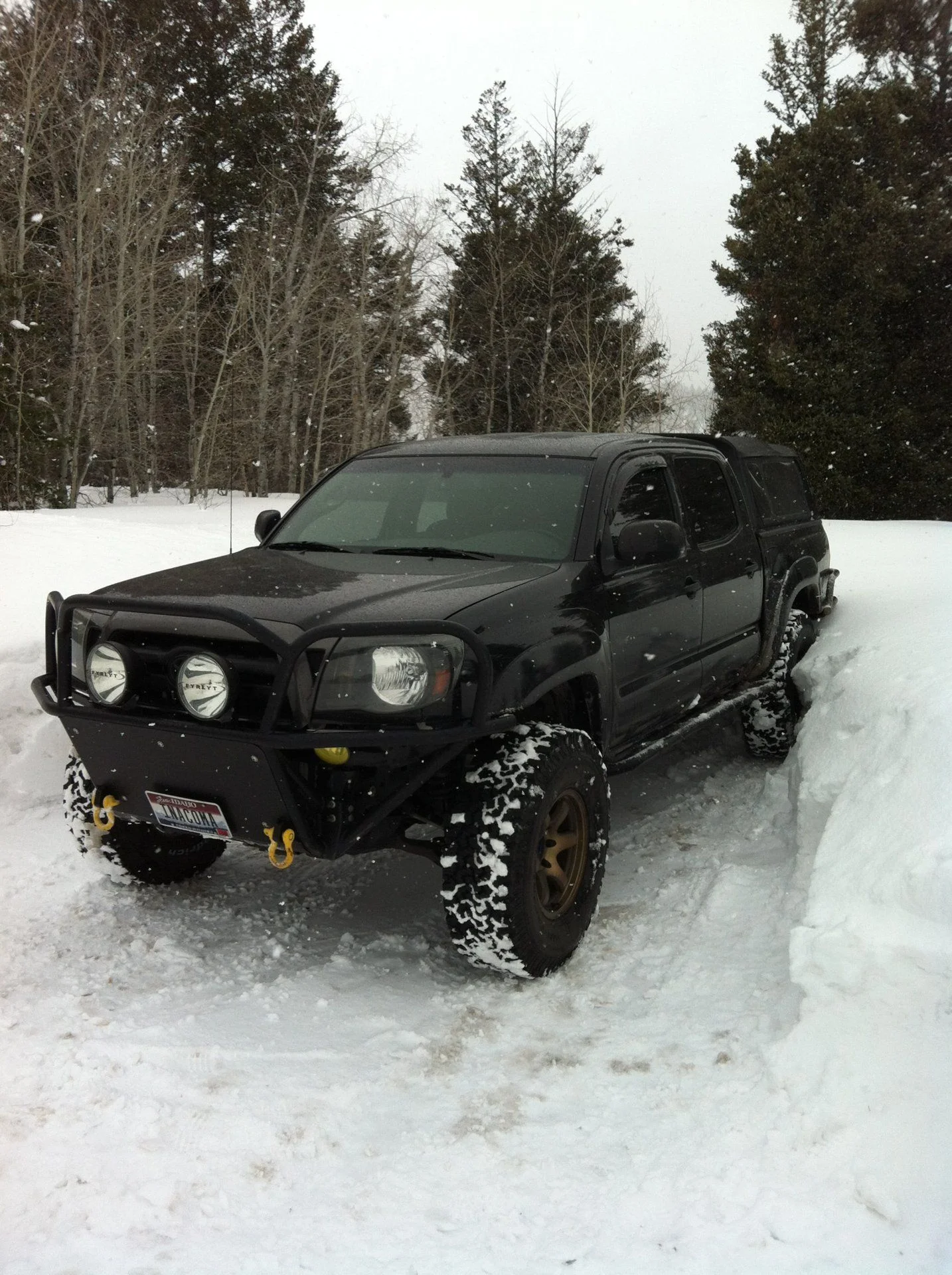 photo (1).webp