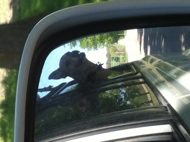 photo-1.webp