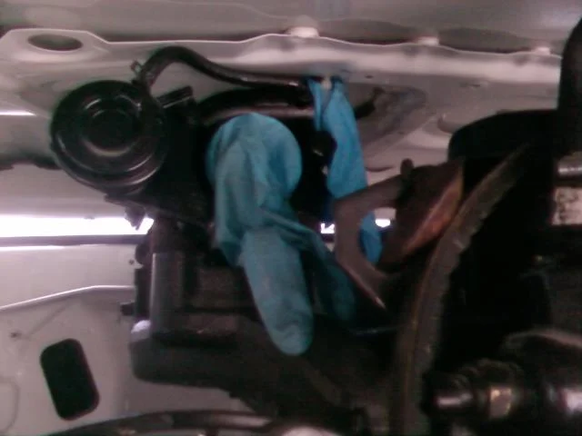 Photo0075.webp