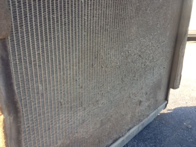 photo2.JPG
