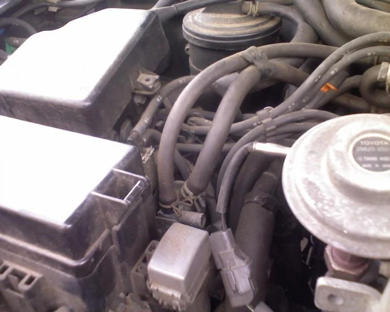 Photo_120408_001.webp