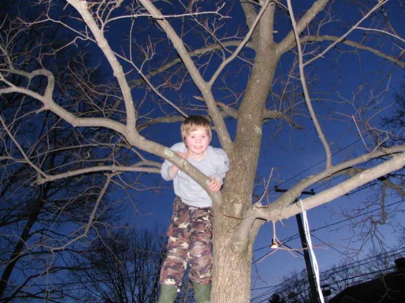 Pic17.webp