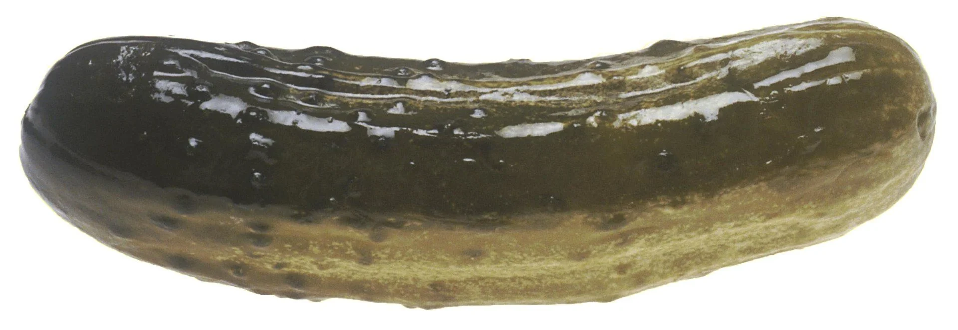 Pickle.webp